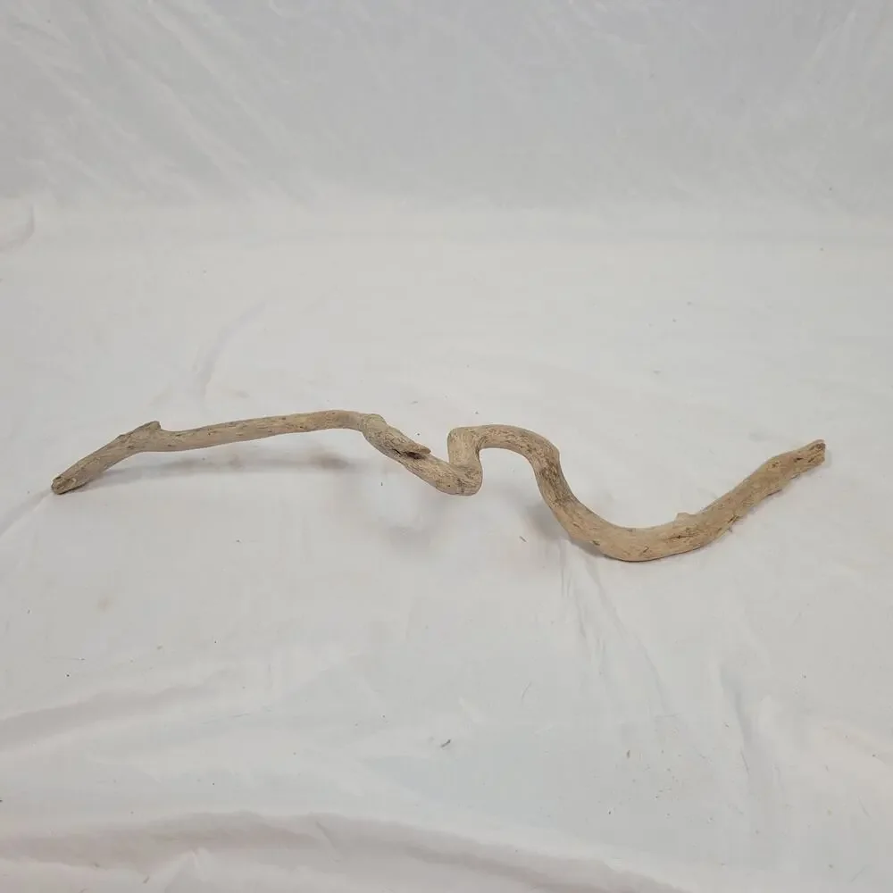 Ohio River Driftwood 25